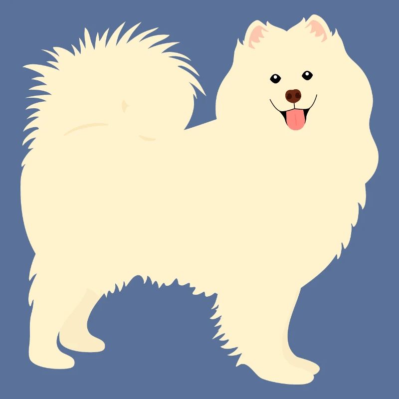 Samojeden Hund