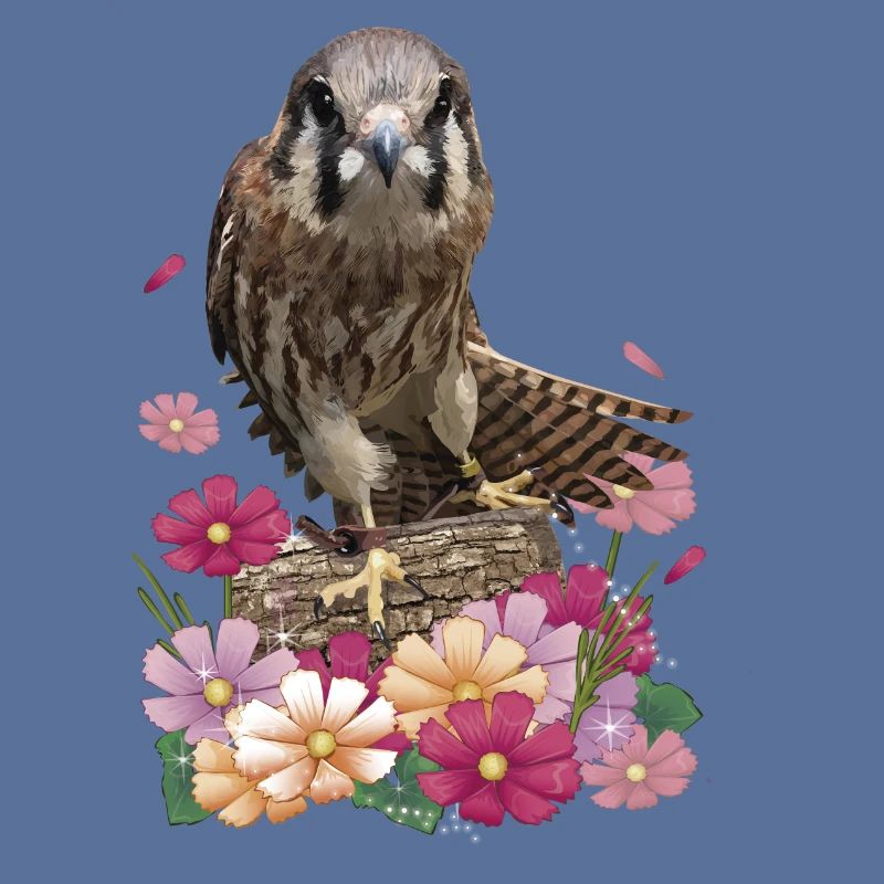Turmfalke