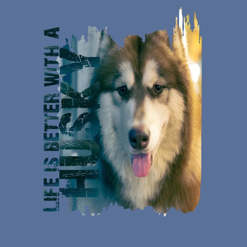 Siberian Husky