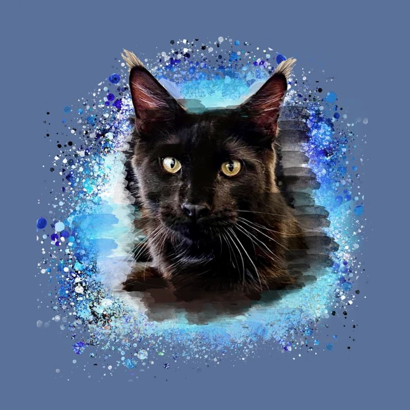 maincoon,katze,graffiti,malerei, Maine-Coon-Katze