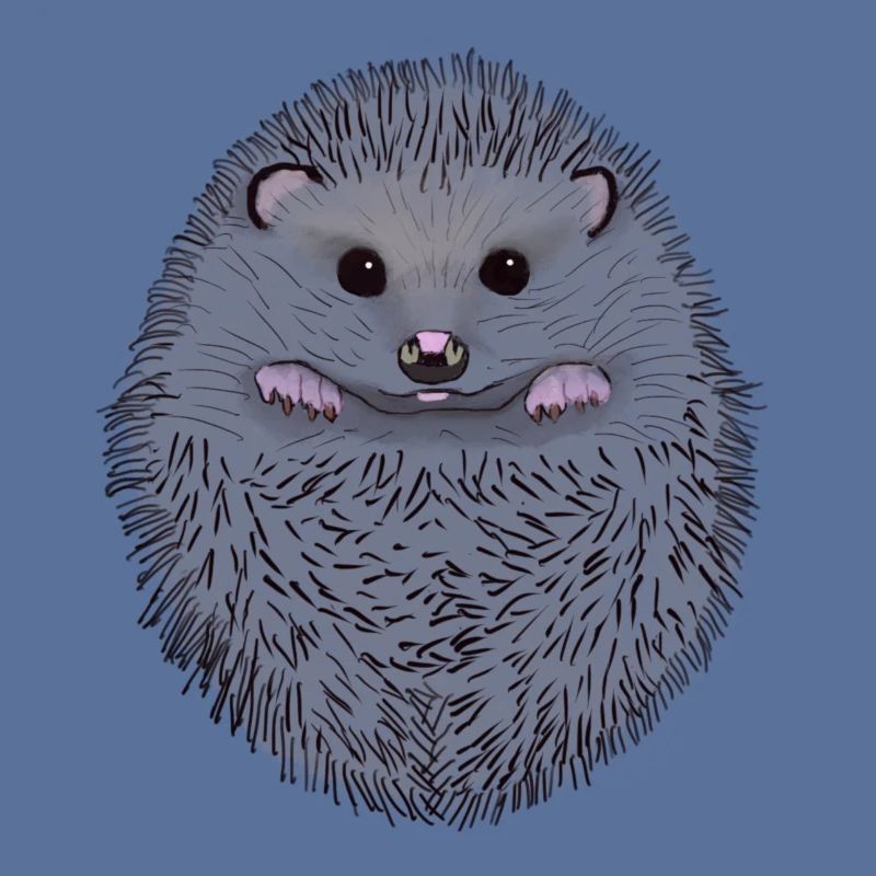 Igel