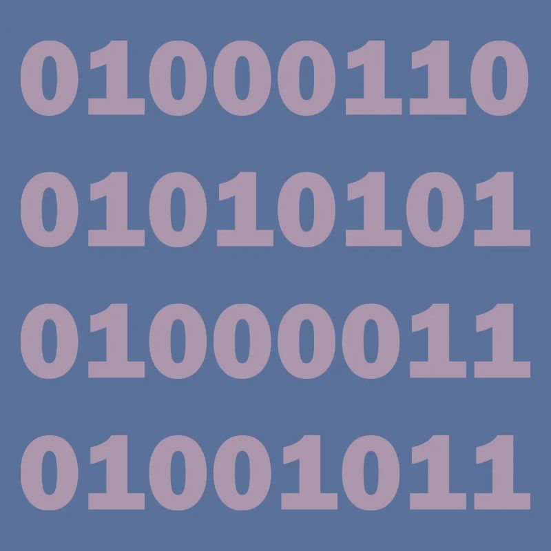 Binary Code Fuck