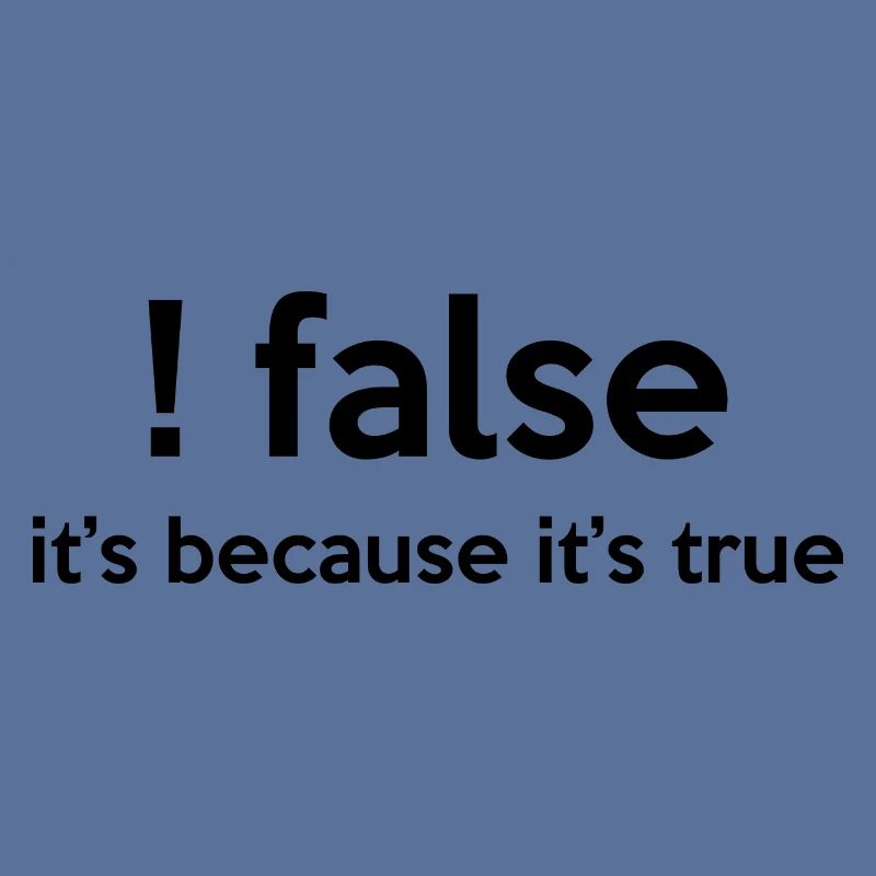 False It's Funny Because It's True Programmer Comp