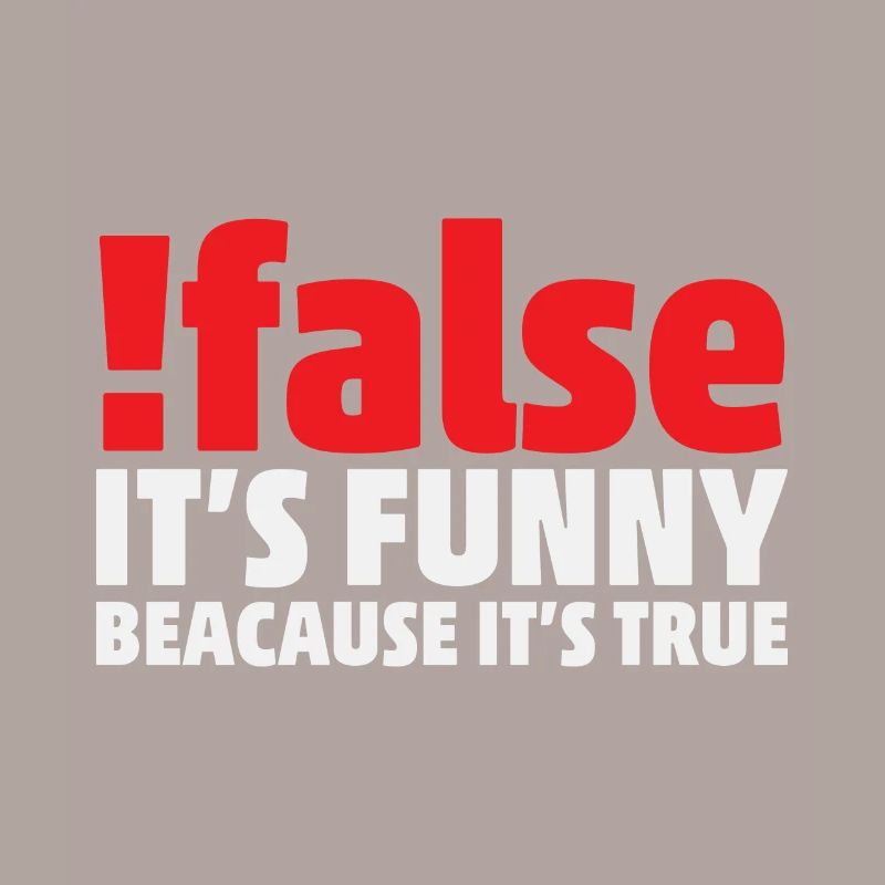False it's funny because it's true Programmer