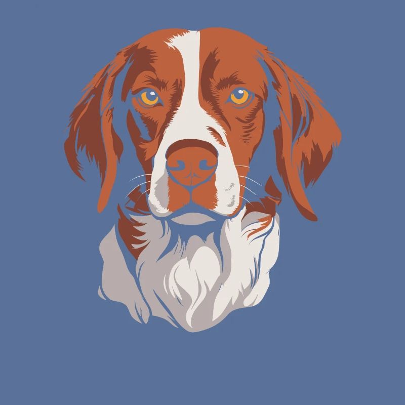 Brittany Spaniel