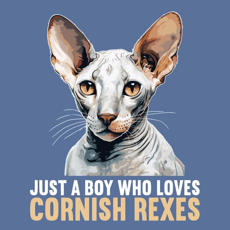 Cornish Rex Kitten Cornish Rex Cat