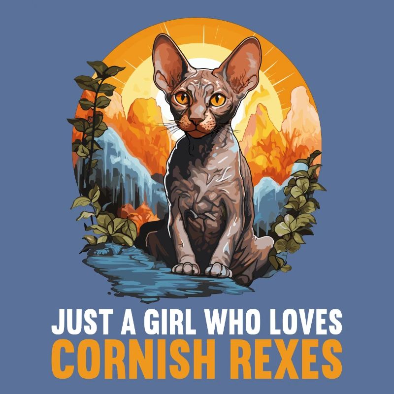 Cornish Rex Kitten Cornish Rex Cat