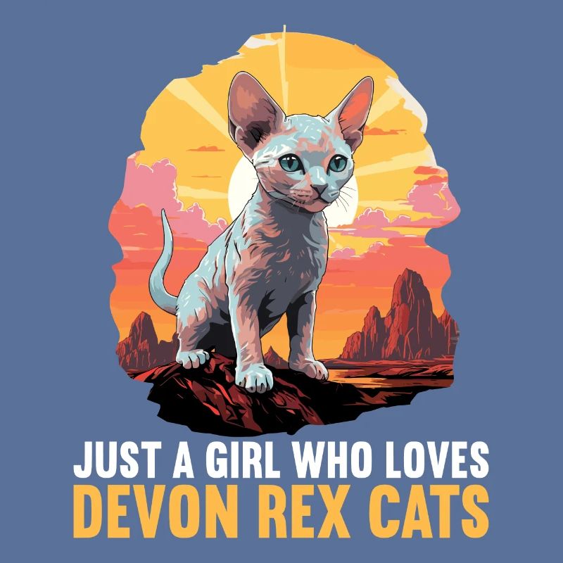 Chaton Devon Rex Chat Devon Rex