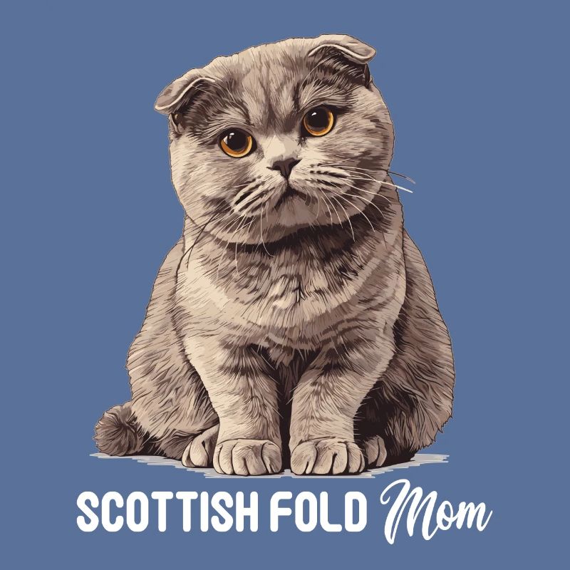 Scottish Fold Kitten Scottish Fold Cat