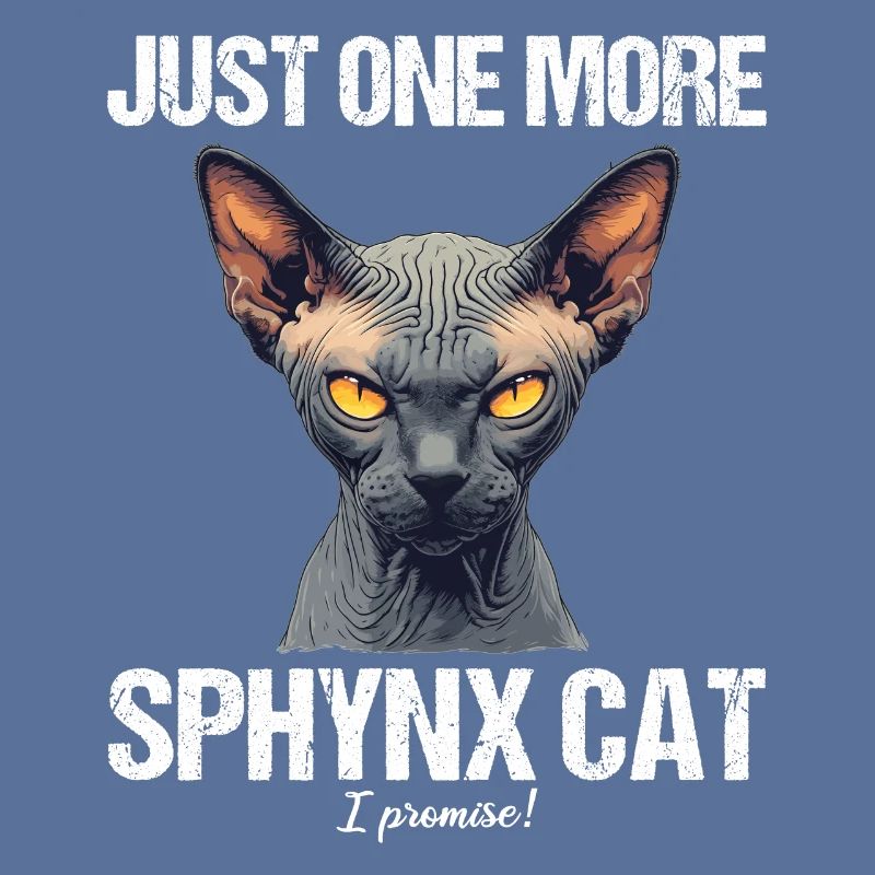 Sphynx Kätzchen Sphynx Katze