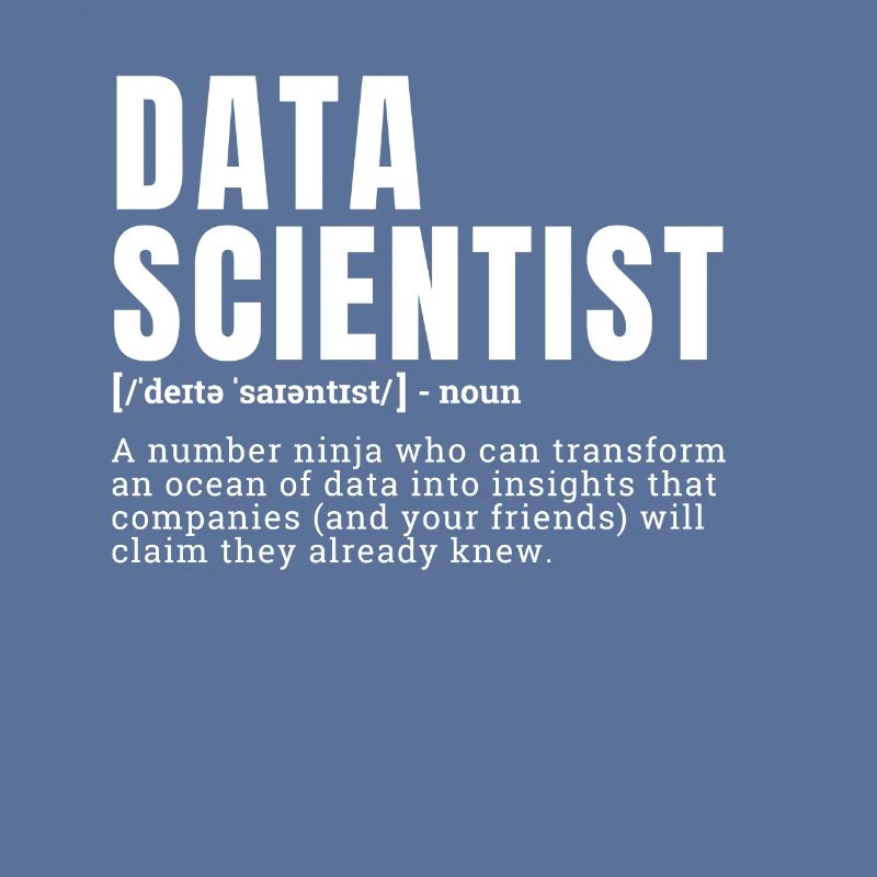 Funny Data Scientist Definition Occupation Occupat