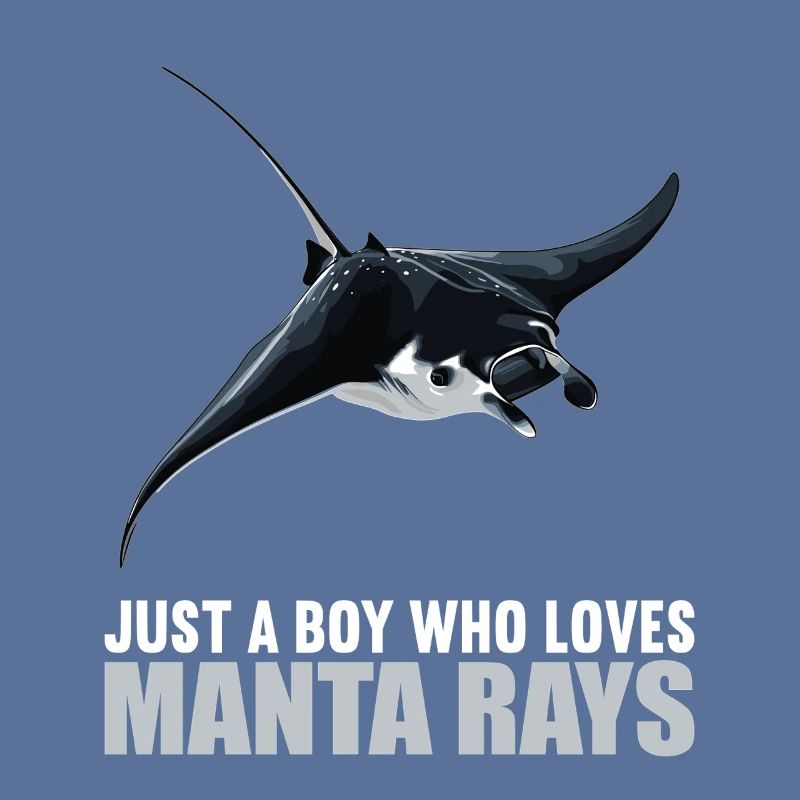 Manta Rays Manta Rays