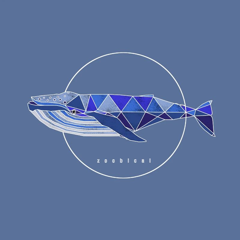 fin whale