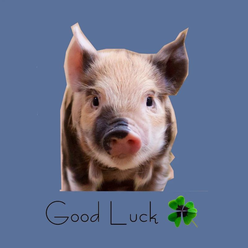 Schwein