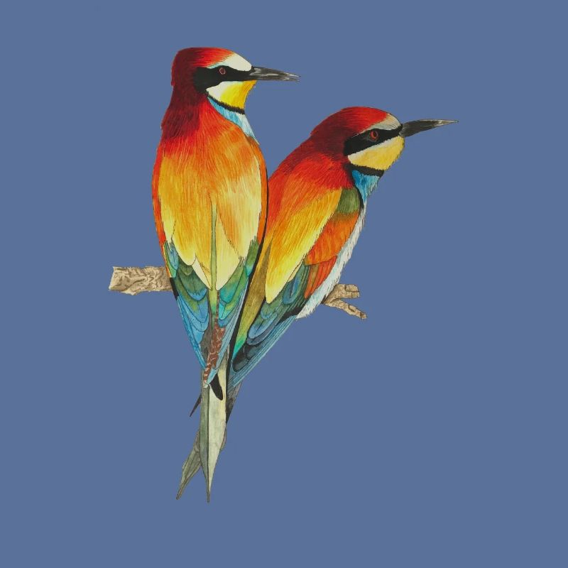 Guêpiers Oiseaux Oiseau de paradis Merops apiaster