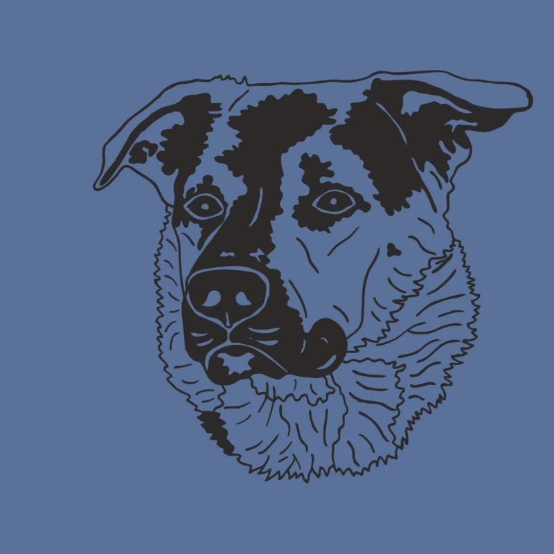 Schäferhund Mix