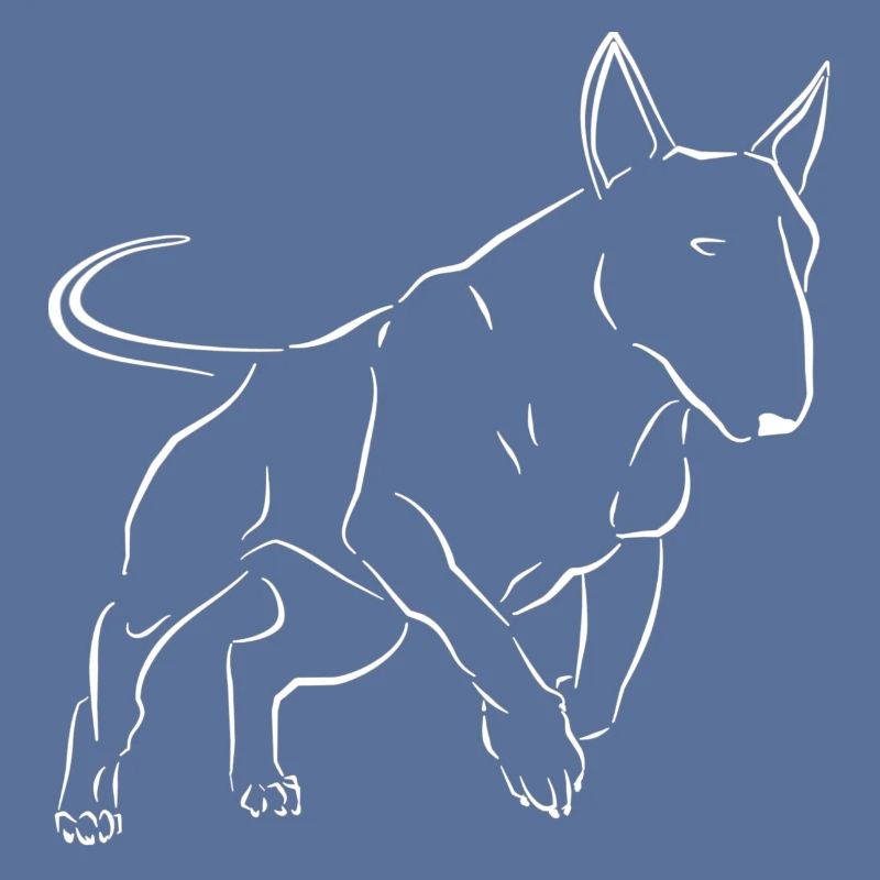 Bullterrier Hund