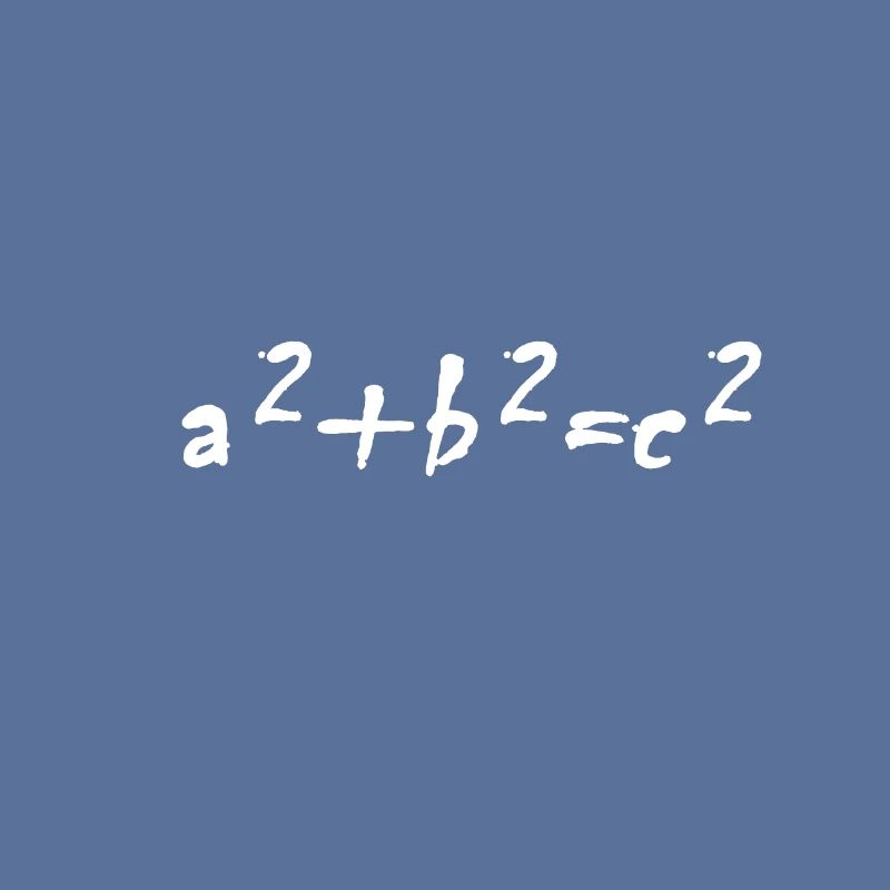 Funny math formula design teacher gift idea