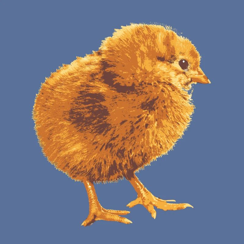 Küken im Goldflaum