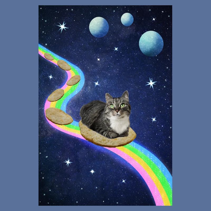 Chat mignon dans l’espace