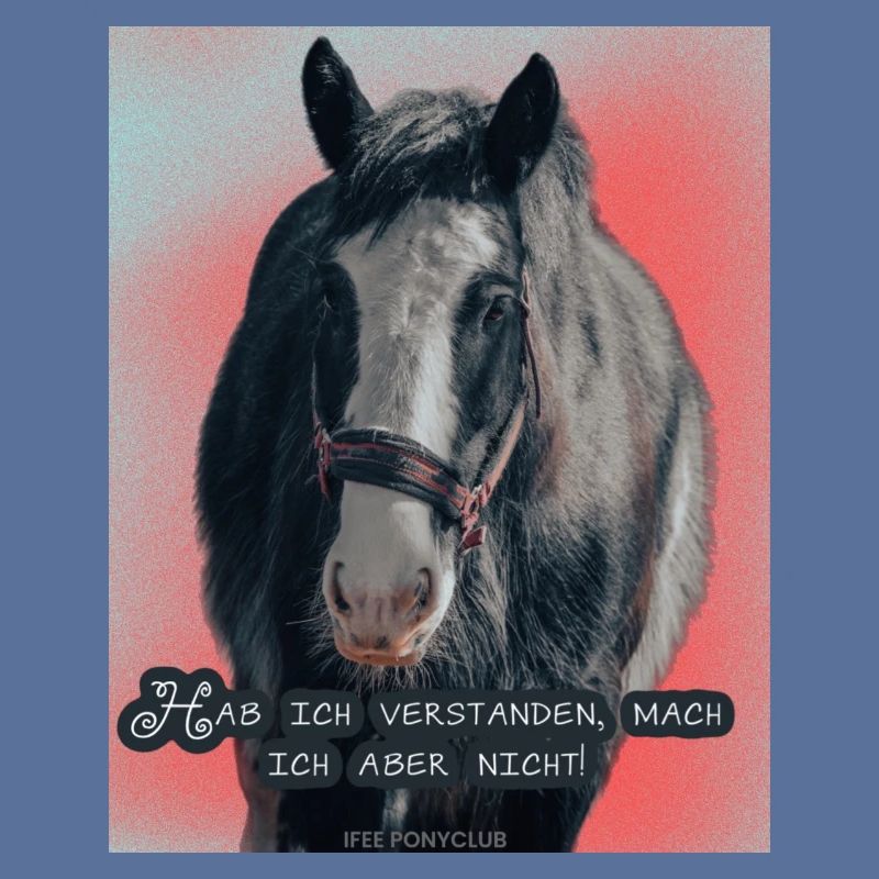 Drachi Mottoshirt