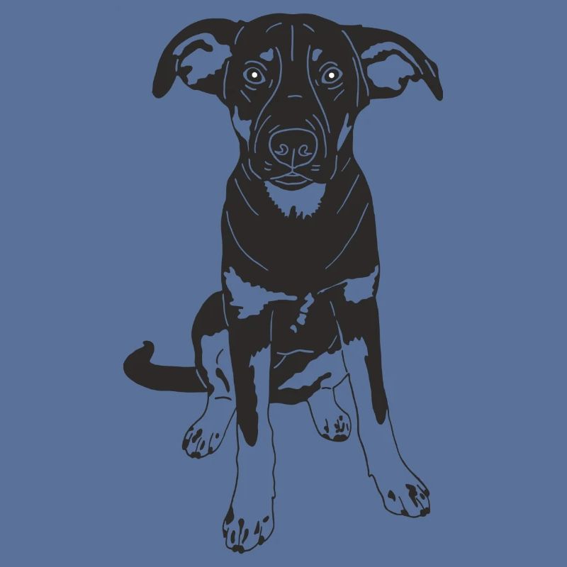 Malinois Mix