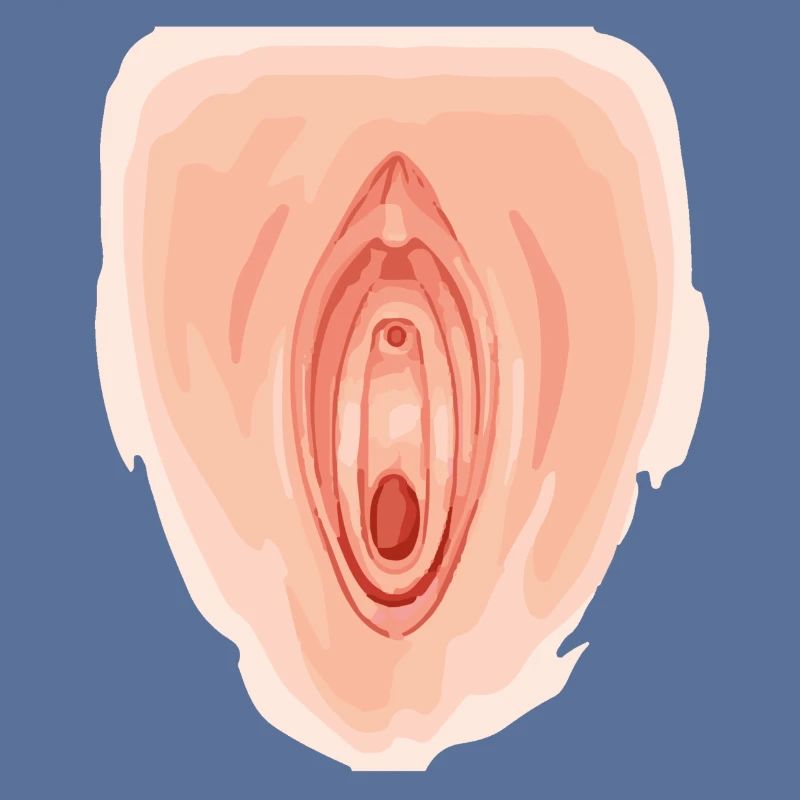 Vagina