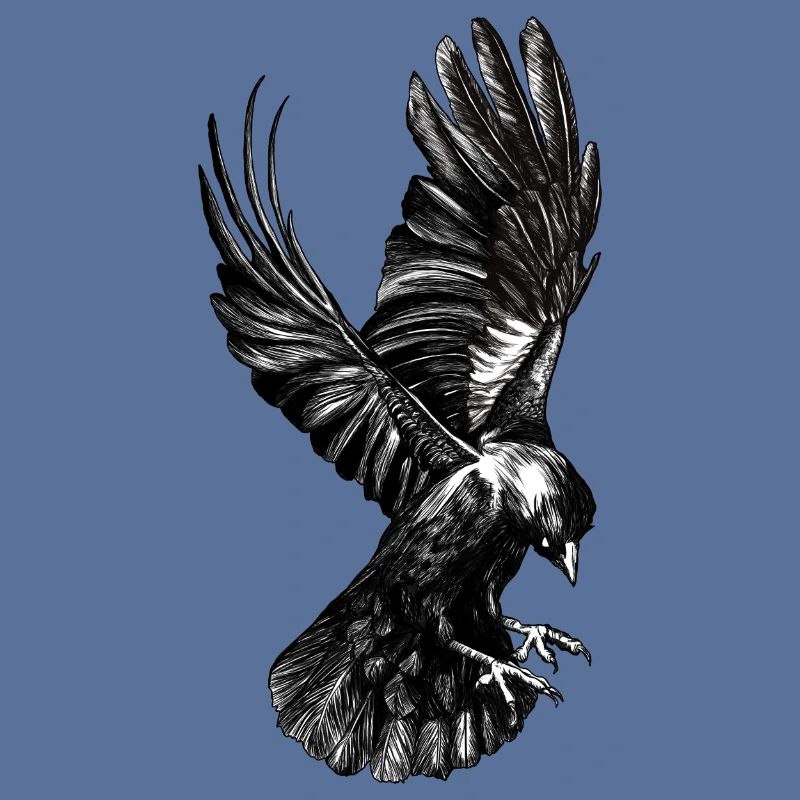 Schwarzer Rabe