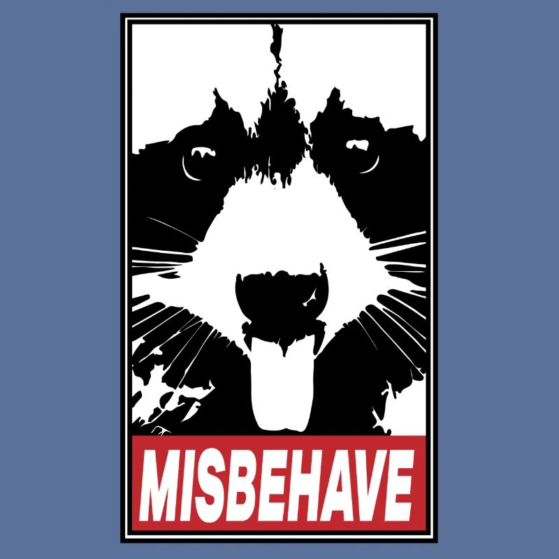 Racoon Misbehave