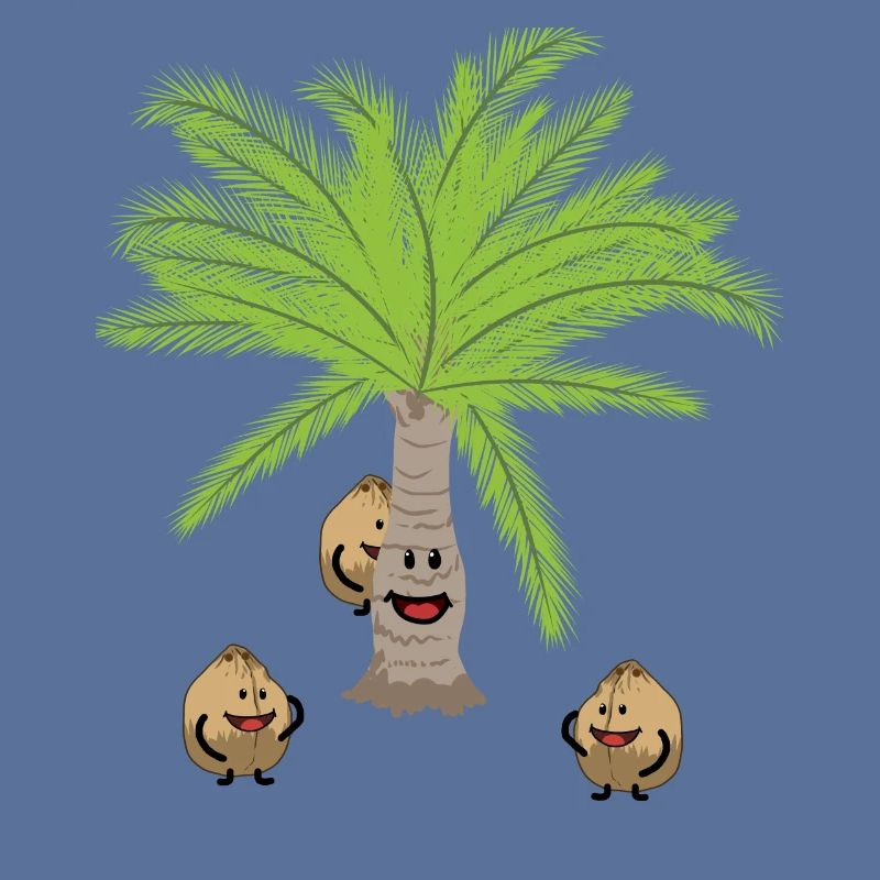 Coconut Palm Trees Nut Nuts Botanical