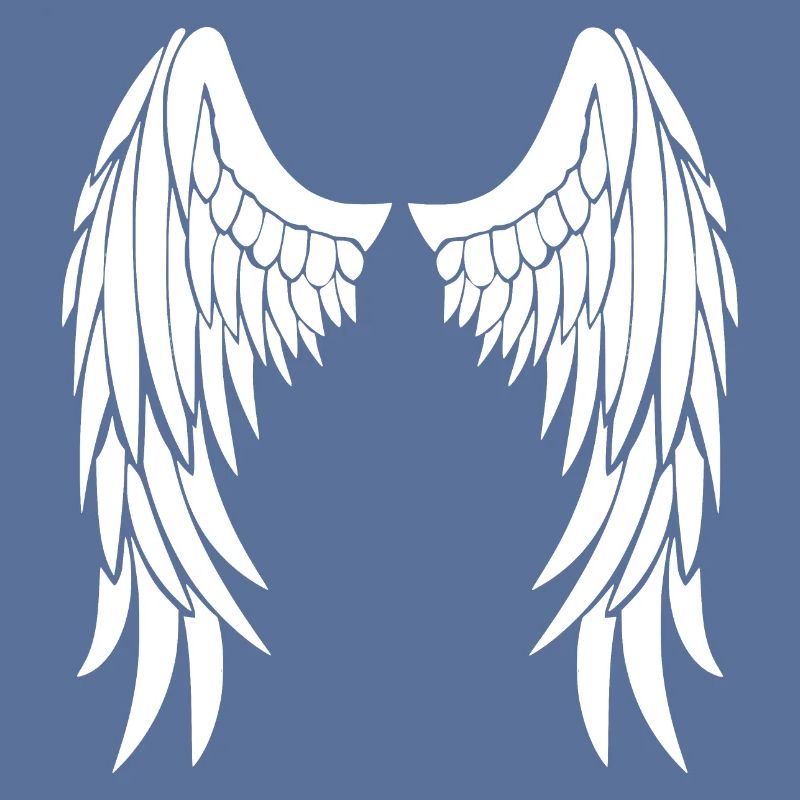 ailes d'anges