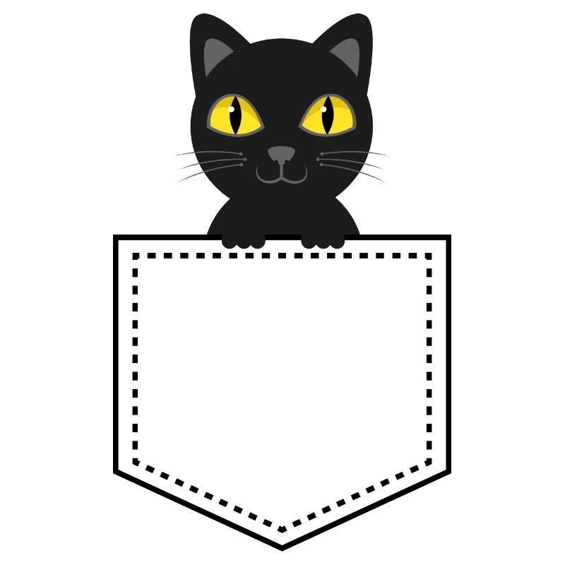 Taschentier schwarze Katze