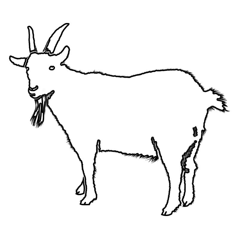 Ziege Umriss
