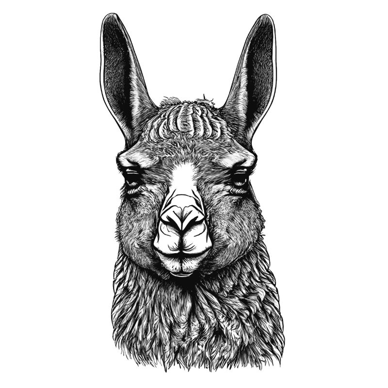 Black and White Llama Face Drawing with Patterns