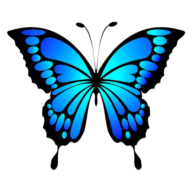 papillon