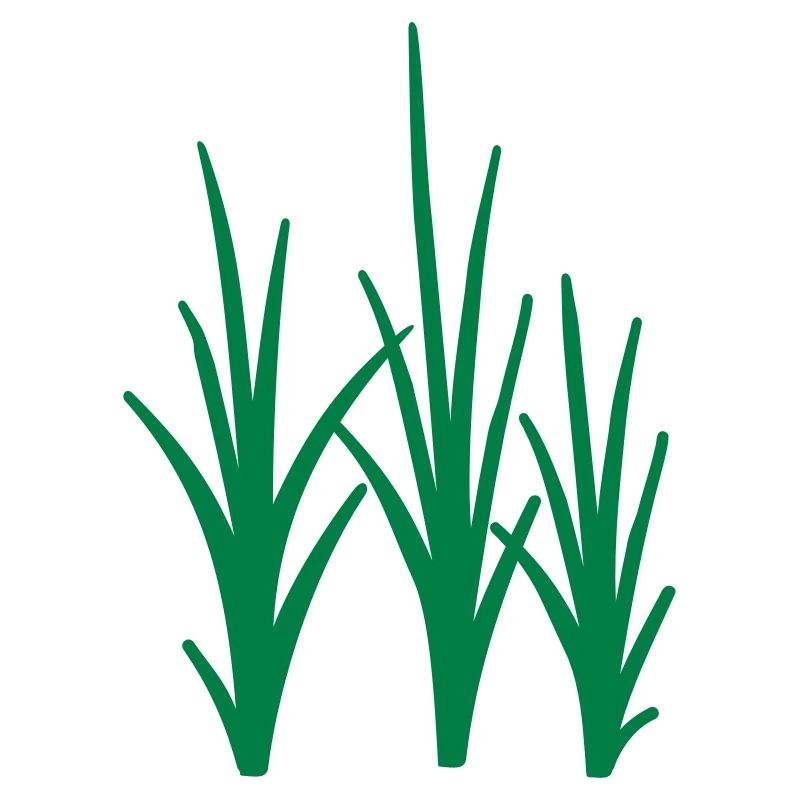Gras