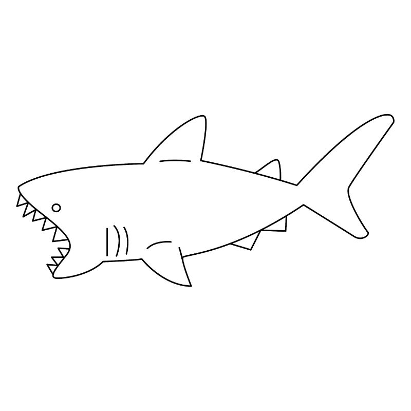 Requin