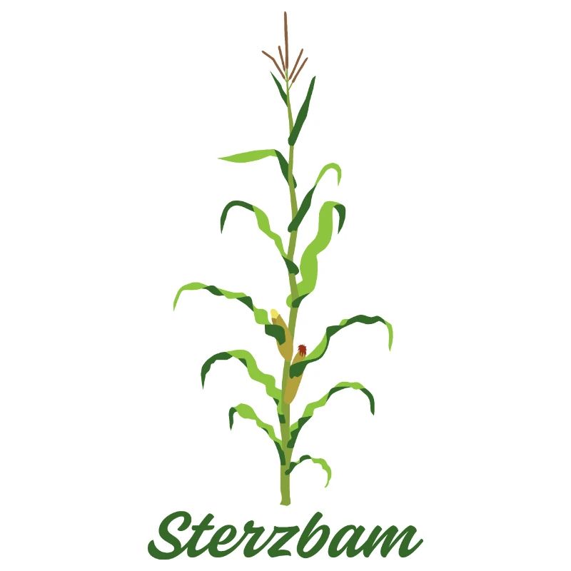 Sterzbam (Sterzbaum)