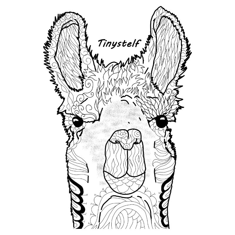 Lama