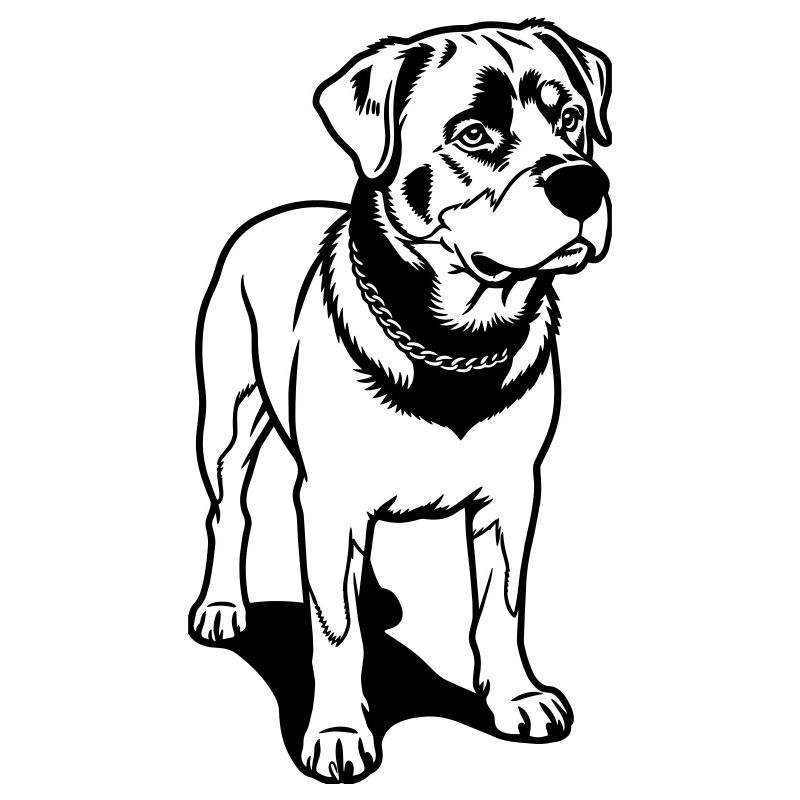 Chien rotweiler
