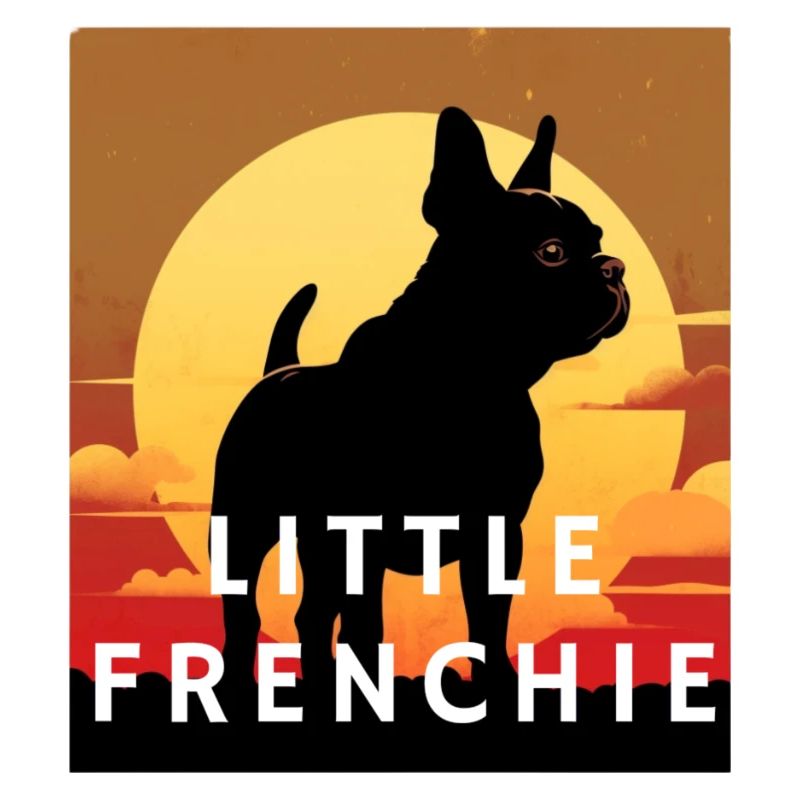 Little Frenchie
