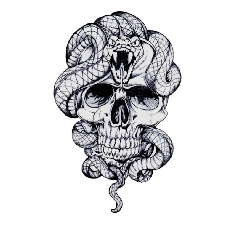 Totenkopfschlange