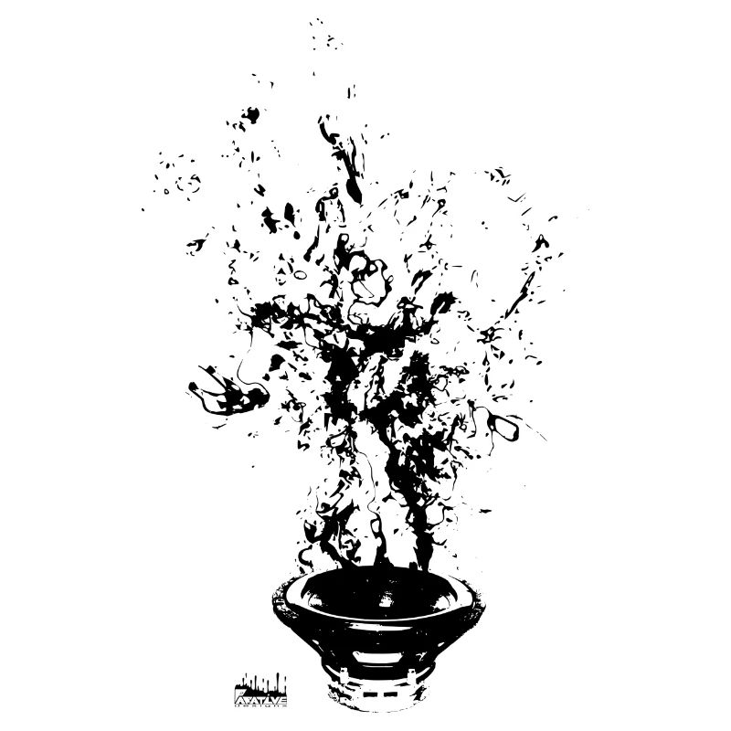 Splashboxen