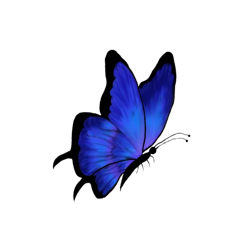 Papillon bleu