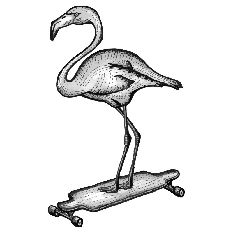Flamingo Longboard
