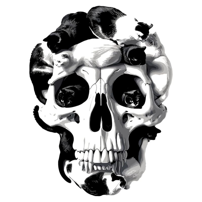 Catskull