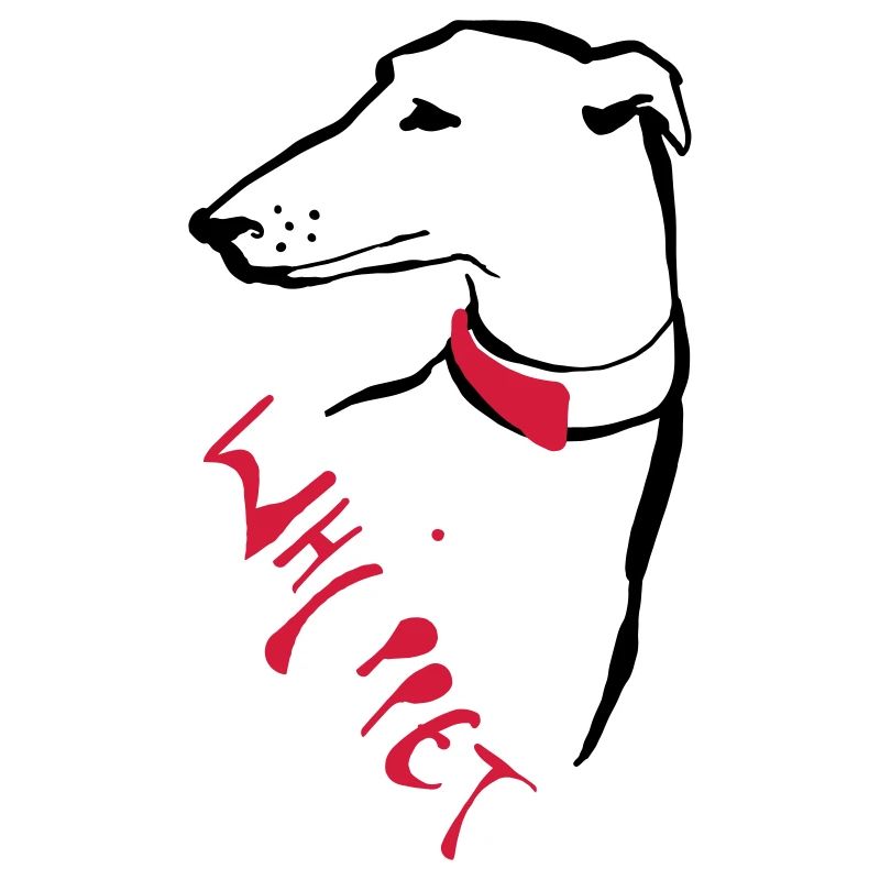 Whippet