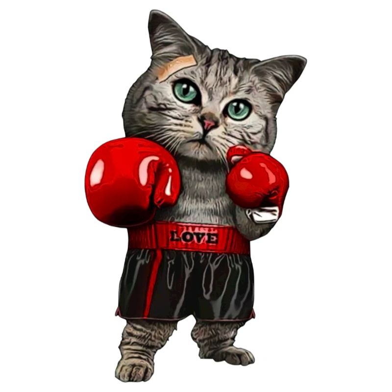 Katzenbox