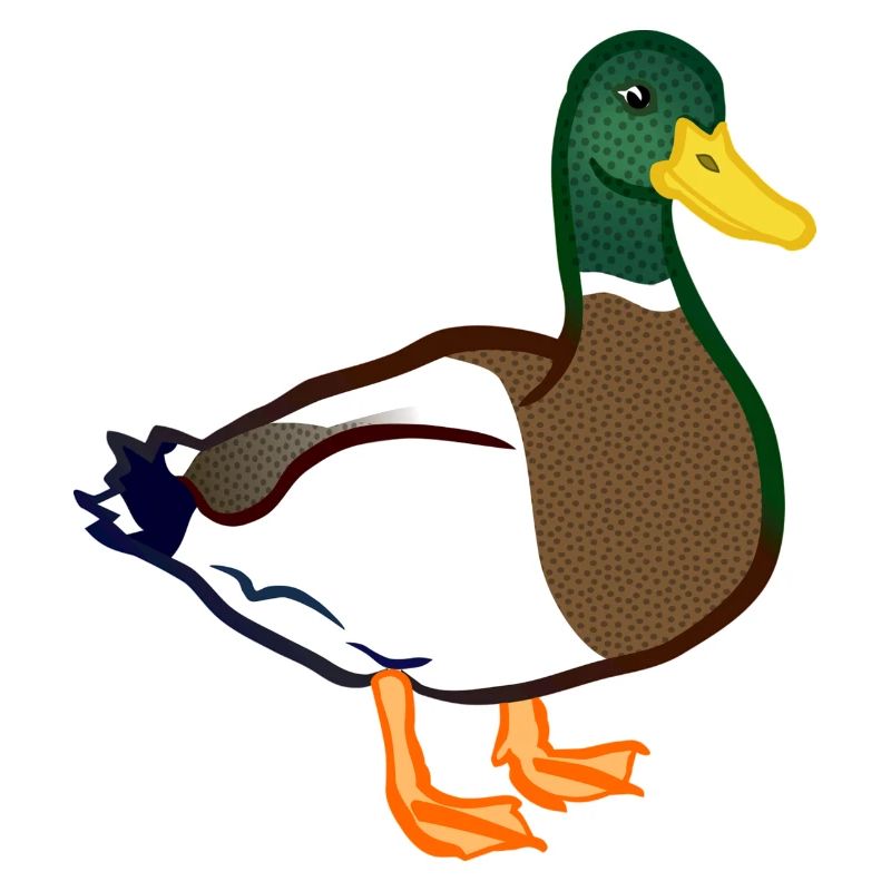 Ente