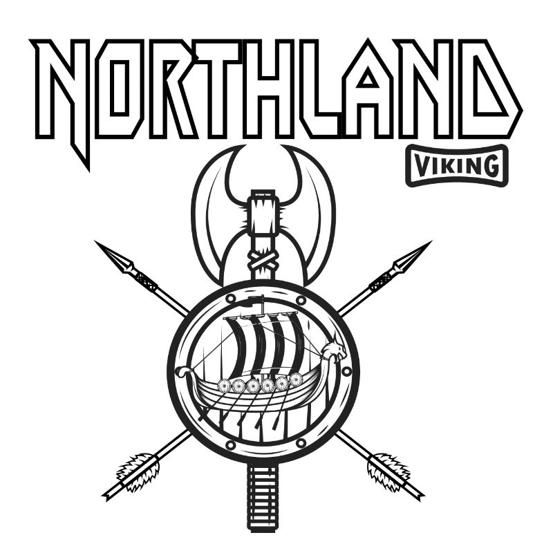 viking 4
